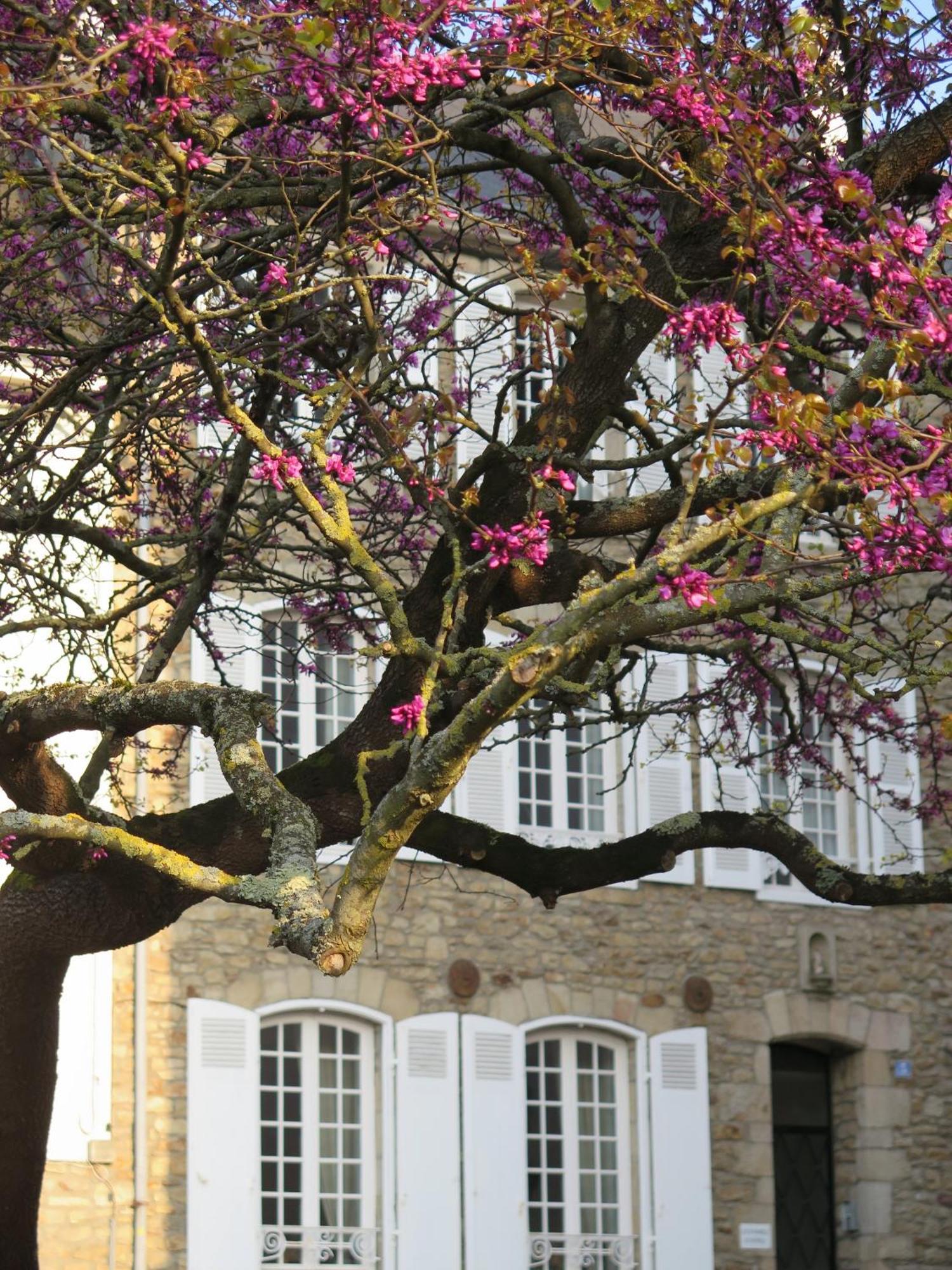 La Villa Garenne Vannes Exterior photo